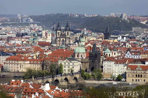 Zobrazit Jaře Prague City Zelené Přírody Kvetoucích Stromů Česká Republika — Stock fotografie