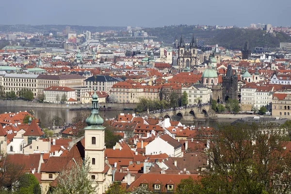Doğa ve çiçekli ağaçlar, Çek Cumhuriyeti Prag şehir bahar yeşil ile görüntüleyin