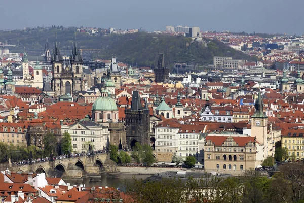 Doğa ve çiçekli ağaçlar, Çek Cumhuriyeti Prag şehir bahar yeşil ile görüntüleyin