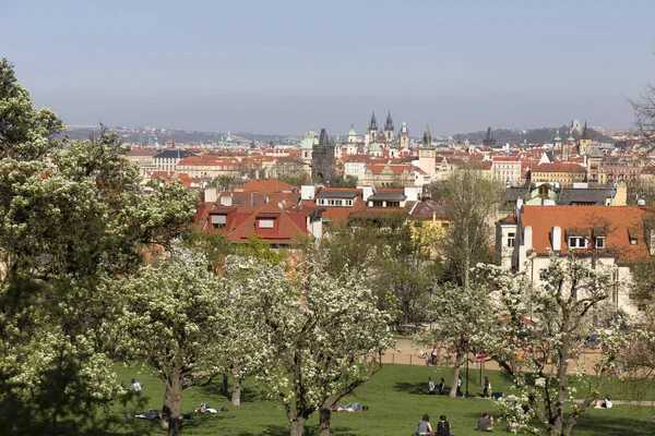 Doğa ve çiçekli ağaçlar, Çek Cumhuriyeti Prag şehir bahar yeşil ile görüntüleyin