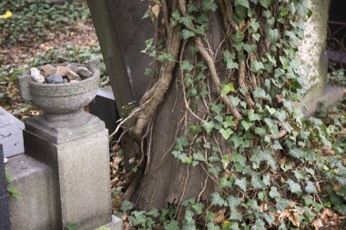 Eski Yahudi Mezarlığı ve onun mezar taşları