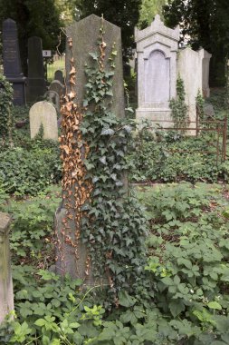 Eski Yahudi Mezarlığı ve onun mezar taşları