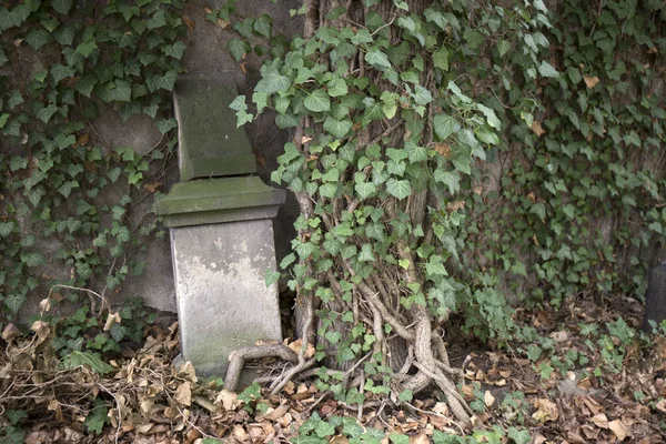 Alter Jüdischer Friedhof Und Seine Grabsteine — Stockfoto