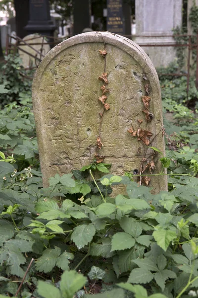 Old Jewish Cemetery Its Tombstones — Stock Photo, Image