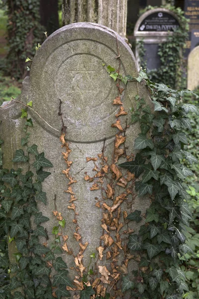 Eski Yahudi Mezarlığı ve onun mezar taşları