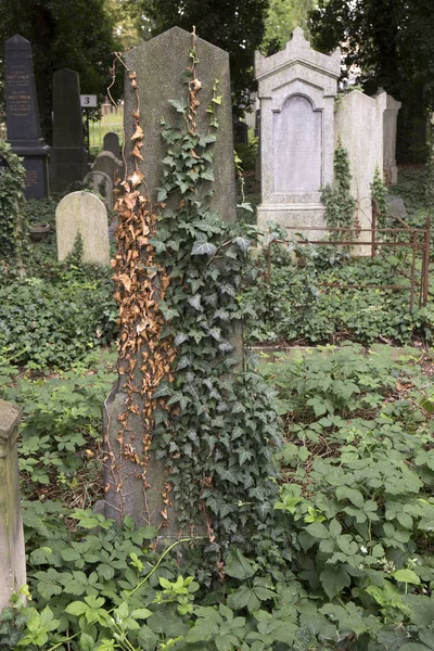 Eski Yahudi Mezarlığı ve onun mezar taşları