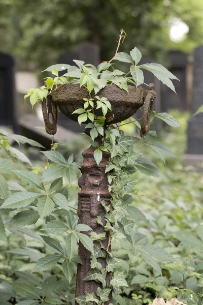 Eski Yahudi Mezarlığı ve onun mezar taşları
