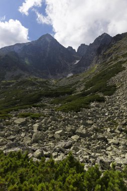 Tepeler ve alp peyzaj yüksek Tatras, Slovakya'nın dağda görüntülemek