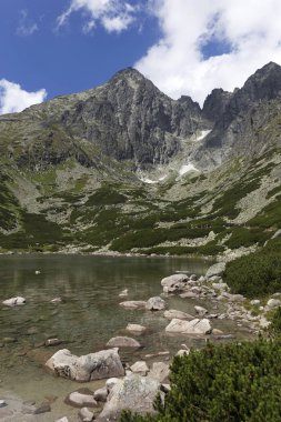 Tepeler ve alp peyzaj yüksek Tatras, Slovakya'nın dağda görüntülemek