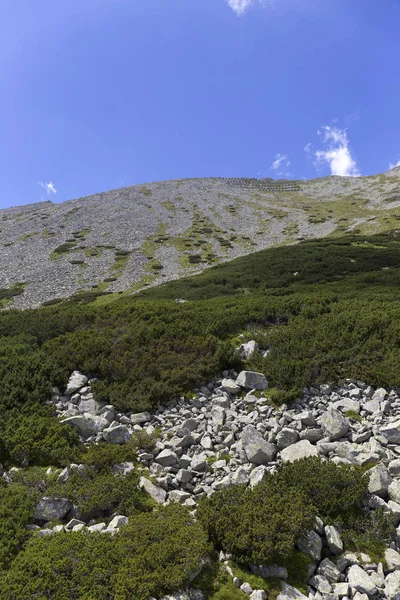 Widok Górskie Szczyty Alpejski Krajobraz Wysokie Tatry Słowacja — Zdjęcie stockowe