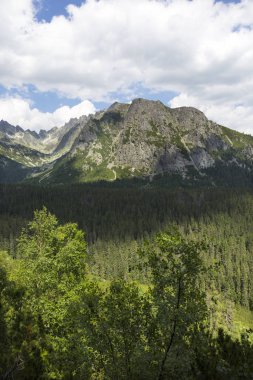 Tepeler ve alp peyzaj yüksek Tatras, Slovakya'nın dağda görüntülemek