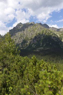 Tepeler ve alp peyzaj yüksek Tatras, Slovakya'nın dağda görüntülemek