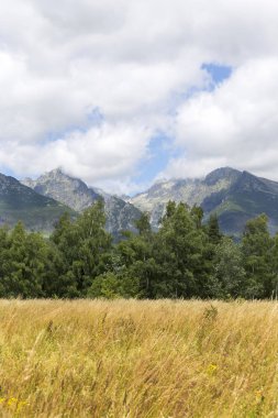Tepeler ve alp peyzaj yüksek Tatras, Slovakya'nın dağda görüntülemek