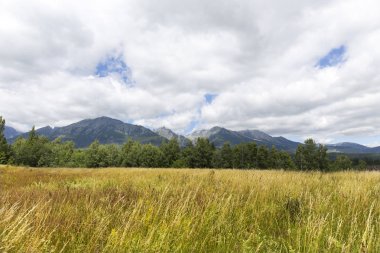 Tepeler ve alp peyzaj yüksek Tatras, Slovakya'nın dağda görüntülemek