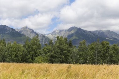 Tepeler ve alp peyzaj yüksek Tatras, Slovakya'nın dağda görüntülemek