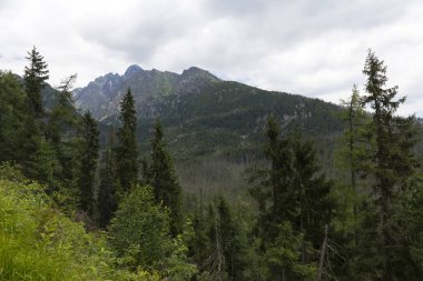 Tepeler ve alp peyzaj yüksek Tatras, Slovakya'nın dağda görüntülemek