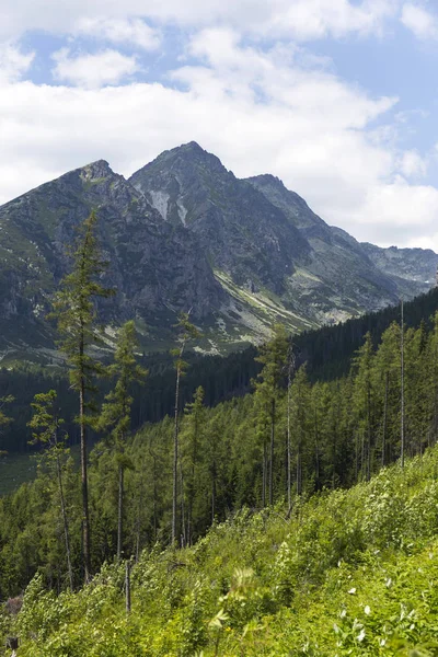 Переглянути Гірських Вершин Альпійським Ландшафтам Високі Татри Словаччина — стокове фото