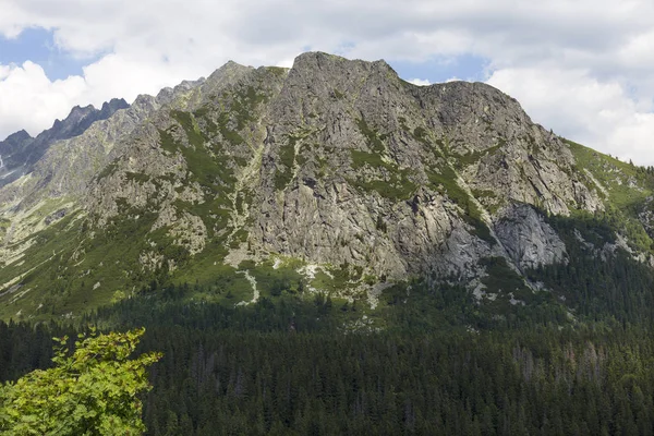 Вид Горные Пики Ландшафты Высоких Татр Словакия — стоковое фото