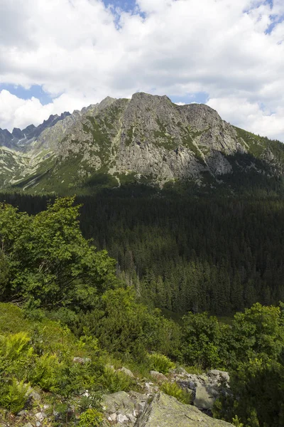 มมองบนยอดเขาและภ แอลป ของ High Tatras สโลวาเก — ภาพถ่ายสต็อก