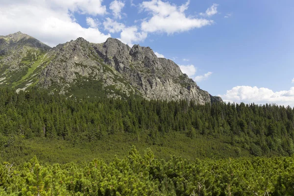 Tepeler ve alp peyzaj yüksek Tatras, Slovakya'nın dağda görüntülemek