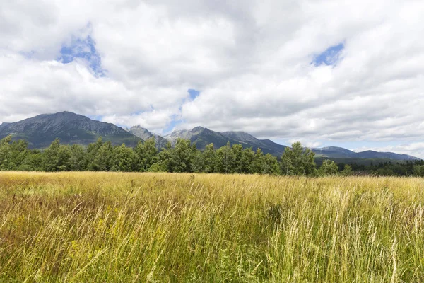 Zobrazit Horské Vrcholy Alpské Krajiny Regionu Vysoké Tatry Slovensko — Stock fotografie