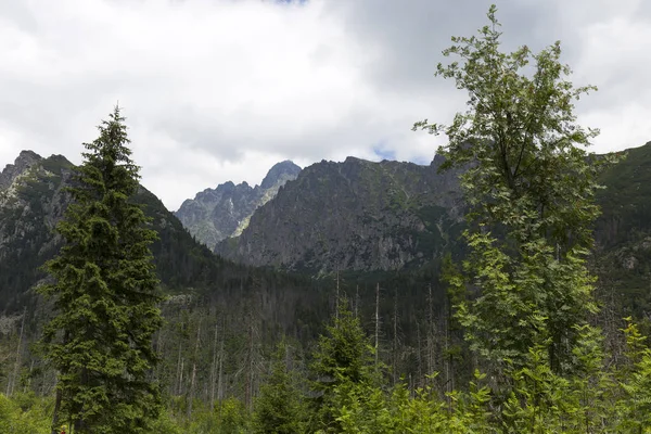 Zobrazit Horské Vrcholy Alpské Krajiny Regionu Vysoké Tatry Slovensko — Stock fotografie