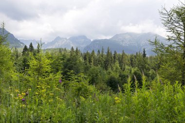 Tepeler ve alp peyzaj yüksek Tatras, Slovakya'nın dağda görüntülemek