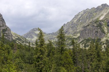 Tepeler ve alp peyzaj yüksek Tatras, Slovakya'nın dağda görüntülemek