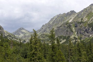 Tepeler ve alp peyzaj yüksek Tatras, Slovakya'nın dağda görüntülemek