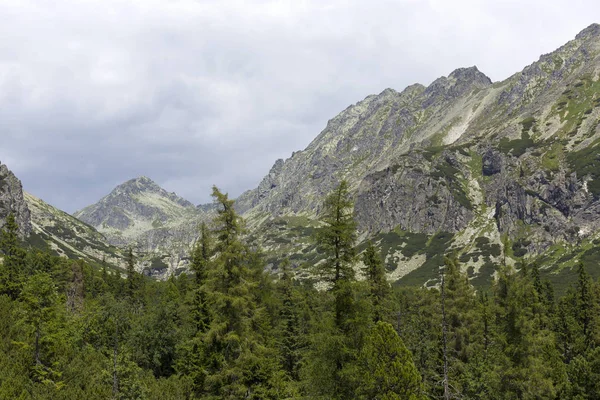 Vista Sobre Los Picos Montaña Paisaje Alpino Los Altos Tatras —  Fotos de Stock