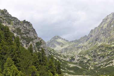 Tepeler ve alp peyzaj yüksek Tatras, Slovakya'nın dağda görüntülemek