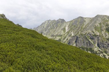 Tepeler ve alp peyzaj yüksek Tatras, Slovakya'nın dağda görüntülemek