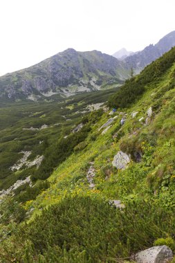 Tepeler ve alp peyzaj yüksek Tatras, Slovakya'nın dağda görüntülemek