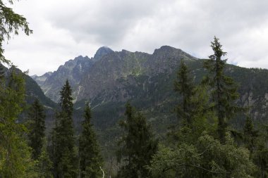 Tepeler ve alp peyzaj yüksek Tatras, Slovakya'nın dağda görüntülemek