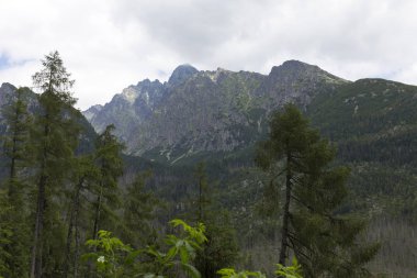 Tepeler ve alp peyzaj yüksek Tatras, Slovakya'nın dağda görüntülemek