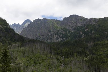 Tepeler ve alp peyzaj yüksek Tatras, Slovakya'nın dağda görüntülemek