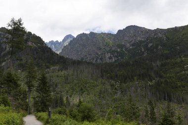 Tepeler ve alp peyzaj yüksek Tatras, Slovakya'nın dağda görüntülemek