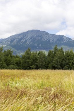 Tepeler ve alp peyzaj yüksek Tatras, Slovakya'nın dağda görüntülemek