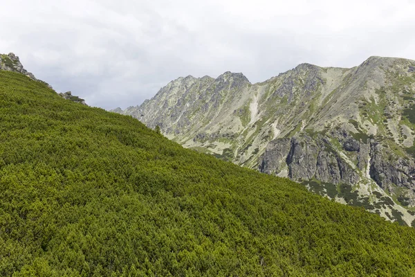Tepeler ve alp peyzaj yüksek Tatras, Slovakya'nın dağda görüntülemek