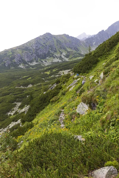 Pemandangan Puncak Gunung Dan Pegunungan Alpen Tatras Tinggi Slowakia — Stok Foto