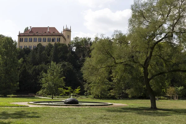 Grand Parc Prague Stromovka Arbre Royal République Tchèque — Photo