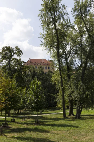Maior Parque Praga Stromovka Árvore Real República Checa — Fotografia de Stock