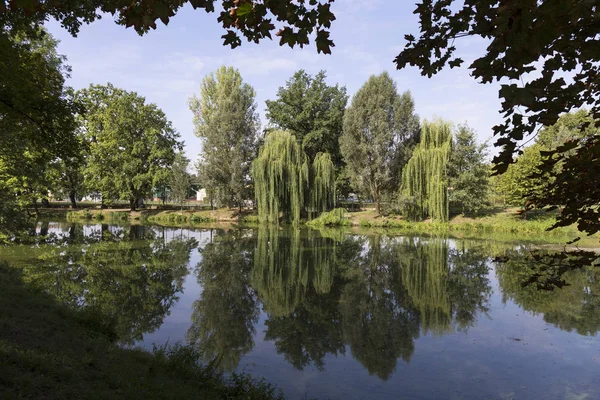 Parque Más Grande Praga Stromovka Árbol Real República Checa — Foto de Stock