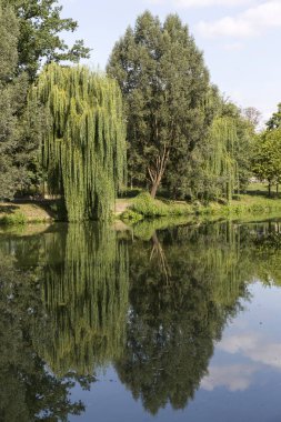 Prag Stromovka - Royal ağaç, Çek Cumhuriyeti en büyük parkı