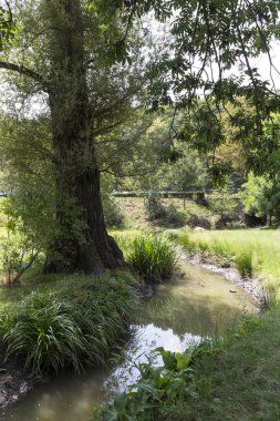 Prag Stromovka - Royal ağaç, Çek Cumhuriyeti en büyük parkı