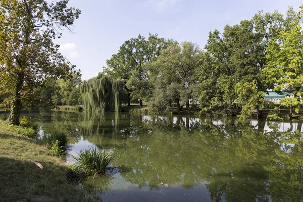 Parque Más Grande Praga Stromovka Árbol Real República Checa — Foto de Stock