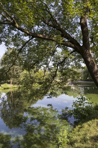 Der Größte Park Prag Stromovka Der Königliche Baum Tschechische Republik — Stockfoto