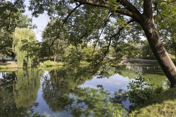 Parque Más Grande Praga Stromovka Árbol Real República Checa — Foto de Stock