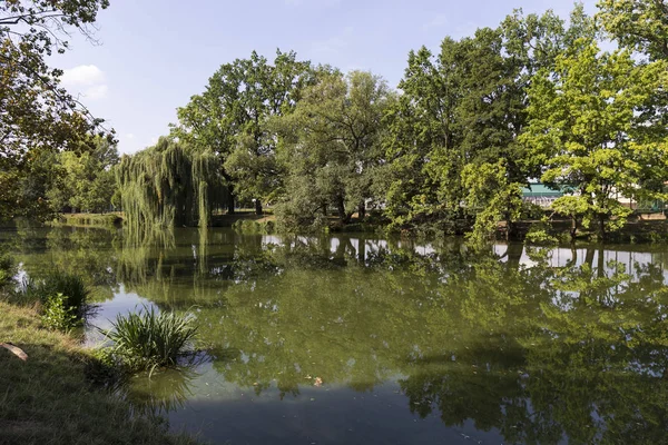 Parque Más Grande Praga Stromovka Árbol Real República Checa — Foto de Stock