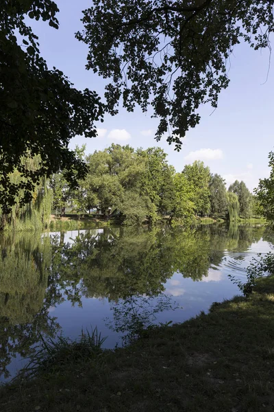 Parque Más Grande Praga Stromovka Árbol Real República Checa — Foto de Stock